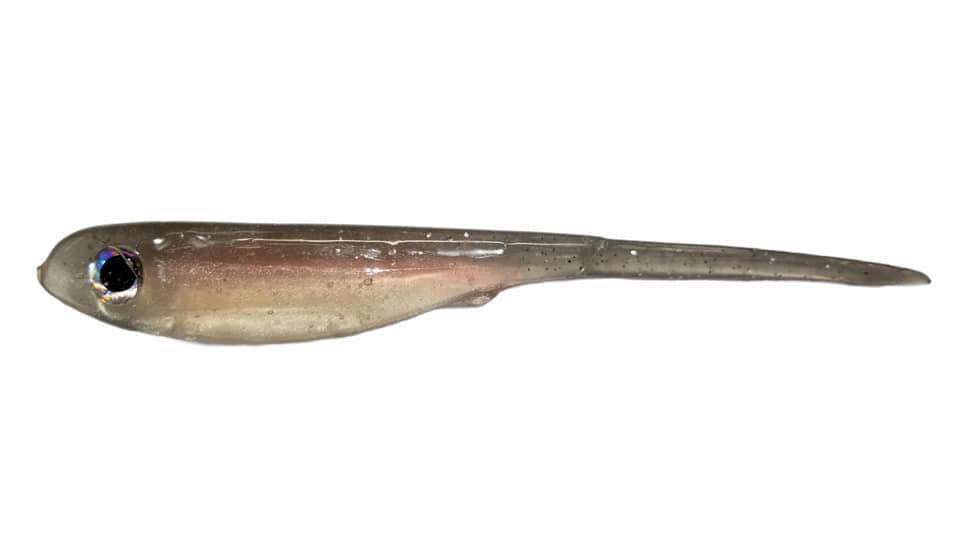 Pintail Shad Silver Fish