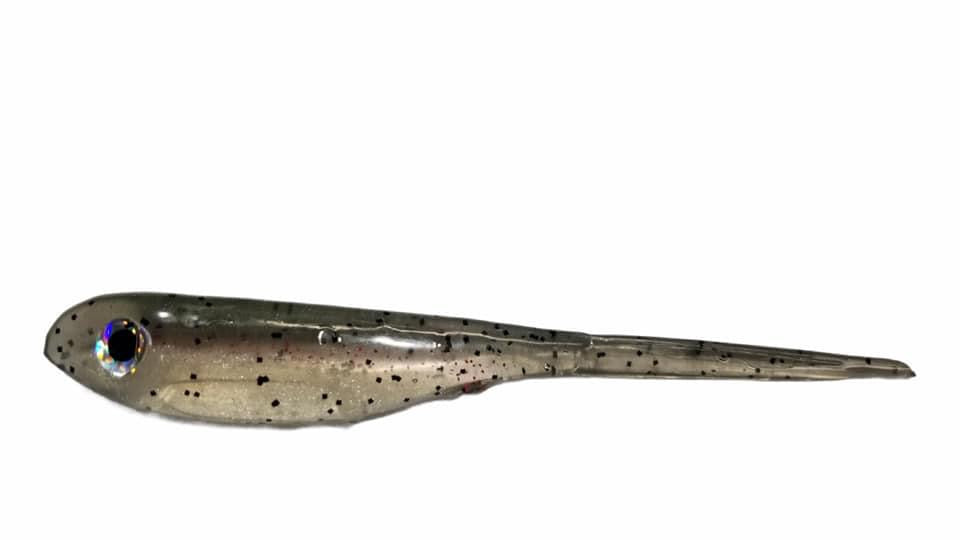 Pintail Shad Rainbow Trout